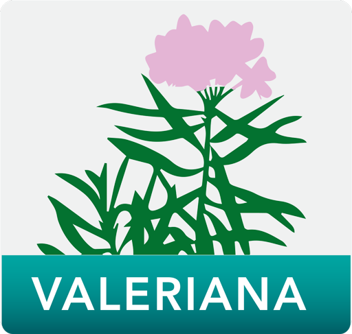 Valeriana